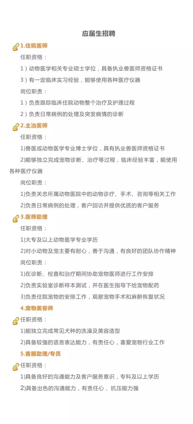 应届生招聘.webp.jpg