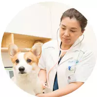 微信图片_20190223163258.png